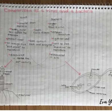 tsa_HomeLearningScience (4)